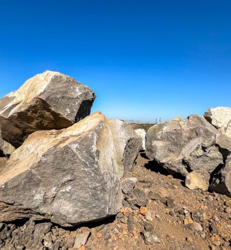 20240618_072636106_iOS